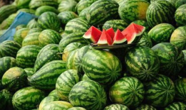 农村吃瓜爆料图片大全集,趣味瞬间大盘点